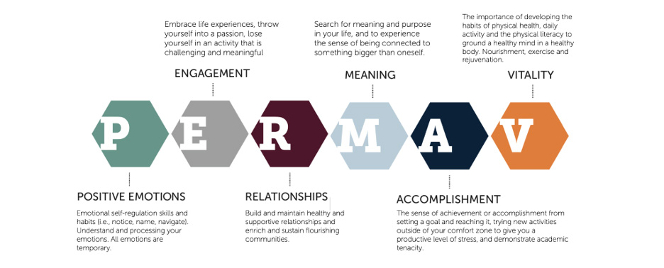 P - Positive Emotions. E - Engagement. R - Relationships. M - Meaning. A - Accomplishment. V - Vitality. 