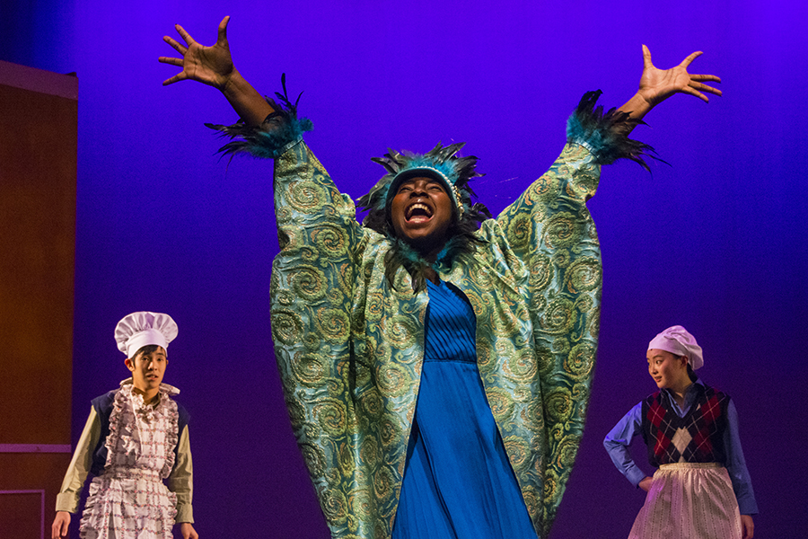 Photo of a Drama Theatrical Performance at Ridley